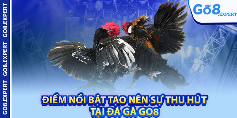 Đá Gà GO8 – Trải Nghiệm Sân Chơi Thể Thao Đỉnh Cao 2 Điểm nổi bật tạo nên sự thu hút tại đá gà GO8