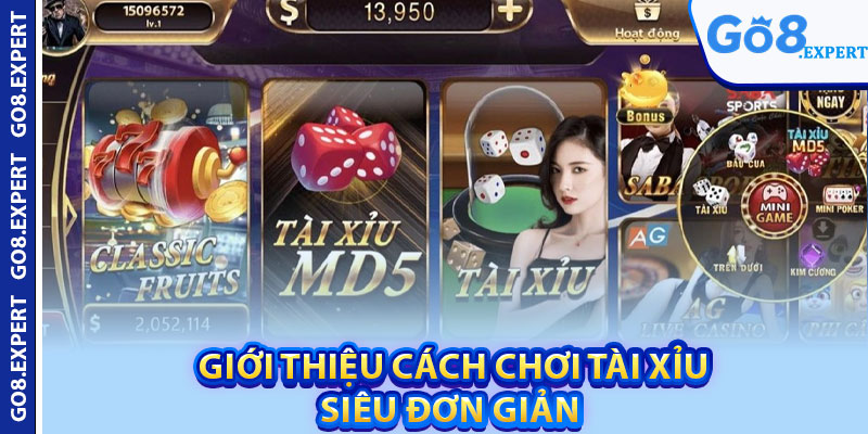 Cách Chơi Tài Xỉu – Bí Mật Chiến Thắng Đến Từ Các Cao Thủ 2 Giới thiệu cách chơi tài xỉu siêu đơn giản