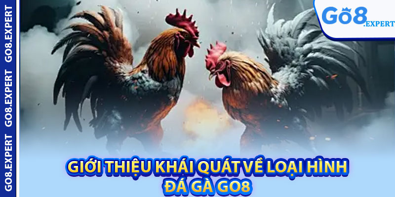 Đá Gà GO8 – Trải Nghiệm Sân Chơi Thể Thao Đỉnh Cao 1 Giới thiệu khái quát về loại hình đá gà GO8