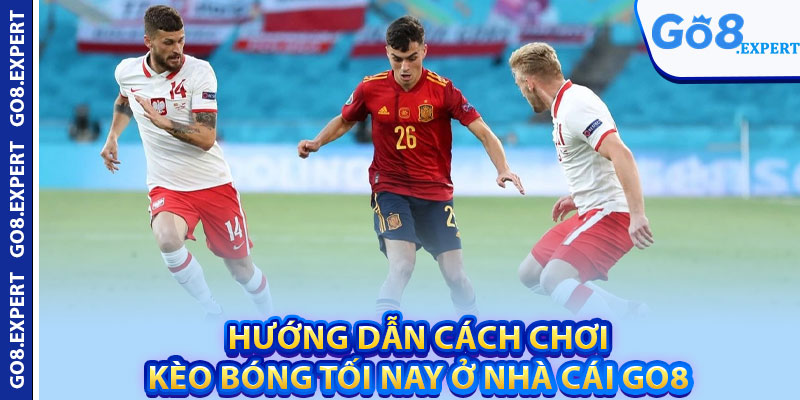 Kèo Bóng Tối Nay GO8 – Hướng Dẫn Soi Kèo Chuẩn Xác Nhất 3 Hướng dẫn cách chơi kèo bóng tối nay ở nhà cái GO8
