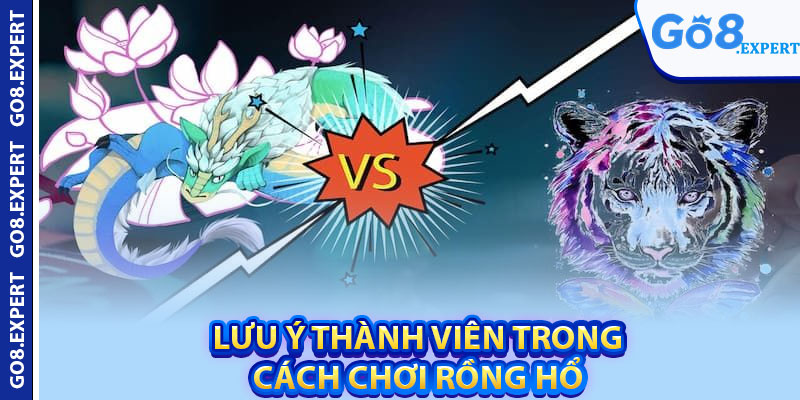 Cách Chơi Rồng Hổ – Bí Quyết Giúp Bạn Chiến Thắng Ngoạn Mục 4 Lưu ý thành viên trong cách chơi rồng hổ