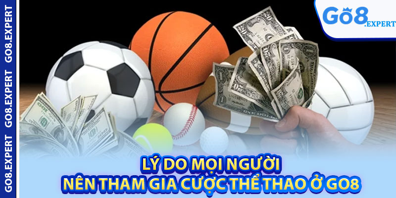 Cá Cược Thể Thao GO8 – Thưởng Cao Với Nhiều Bộ Môn 3 Lý do mọi người nên tham gia cược thể thao ở GO8