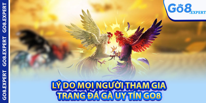 Trang Đá Gà Uy Tín GO8 – Top Sân Chơi Nổi Bật Châu Á 3 Lý do mọi người tham gia trang đá gà uy tín GO8