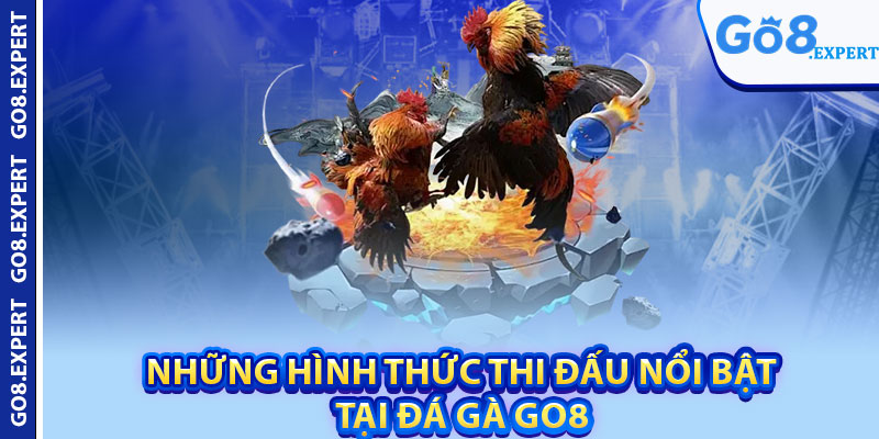 Đá Gà GO8 – Trải Nghiệm Sân Chơi Thể Thao Đỉnh Cao 3 Những hình thức thi đấu nổi bật tại đá gà GO8
