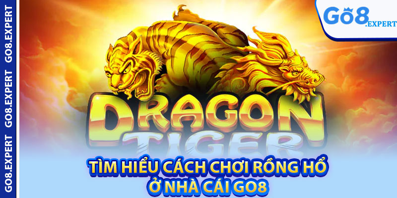 Cách Chơi Rồng Hổ – Bí Quyết Giúp Bạn Chiến Thắng Ngoạn Mục 2 Tìm hiểu cách chơi rồng hổ ở nhà cái GO8