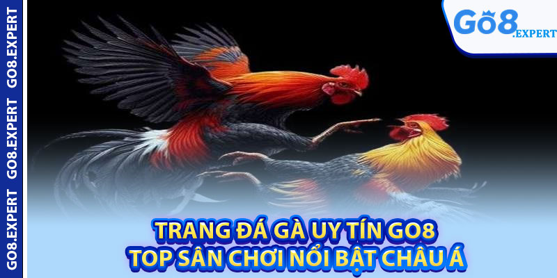 Trang Đá Gà Uy Tín GO8 – Top Sân Chơi Nổi Bật Châu Á 1 Trang Da Ga Uy Tin GO8 – Top San Choi Noi Bat Chau A
