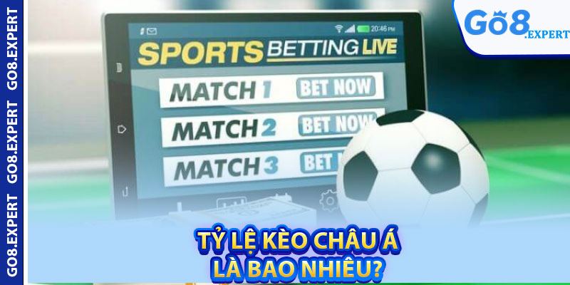 Tỷ Lệ Kèo Châu Á – Thông Tin Quan Trọng Nên Xem Trước Cược 2 Tỷ lệ kèo châu Á là bao nhiêu?
