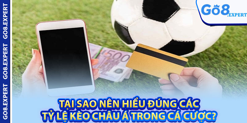 Tỷ Lệ Kèo Châu Á – Thông Tin Quan Trọng Nên Xem Trước Cược 4 Tại sao nên hiểu đúng các tỷ lệ kèo châu Á trong cá cược?