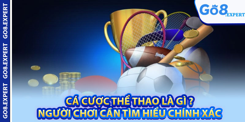 Cá Cược Thể Thao GO8 – Thưởng Cao Với Nhiều Bộ Môn 2 Cá cược thể thao là gì ? người chơi cần tìm hiểu chính xác